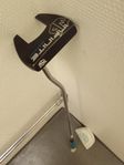 Wilson infinite bucktown putter