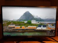 Monitor Voxicon 32" (31,5") D32QOE i mycket bra skick.