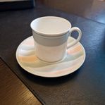 Vintage Villeroy & Boch Andante. kopp & fat.