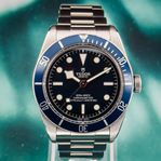 Tudor Black bay 41