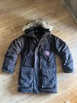 Canada Goose expedition 