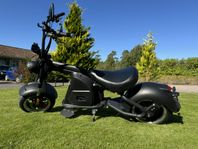 Elscooter