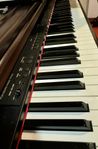 Technics PX203 Digitalpiano