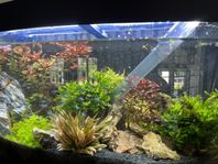 Akvarium 180 liter