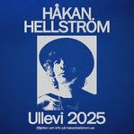 Håkan Hellström stå biljetter 13/6 x2