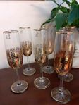 6 st champagneglas