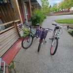 Tre mycket bra cyklar för familjen 