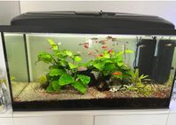 Akvarium 110 liter 