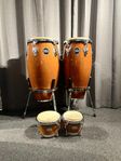 Congas och bongos 