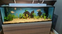 Akvarium 375 liter