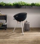 Eva solo Fireglobe  design Gasolgrill nypris 9995kr idag