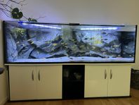 Komplett akvarium 720l med Aquadecor bakgrund