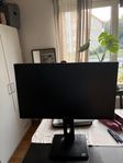 skärm acer vg240y