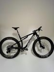 Specialized epic expert