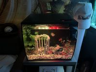 Fluval 57 liter