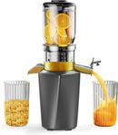 HELT NY Slow Juicer - Juicepress - Juicer - 250W - Grå