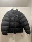 The North Face Nuptse 1996 jacket