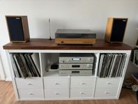 Stereomöbel för vinylsamling