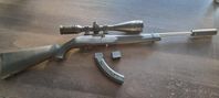 Ruger 10/22