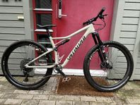 Specialized Epic Evo Expert, Strl Large