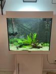 Akvarium Juwel Lido 120l 