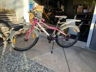 2 st 24’ Mountainbike MTB Scott