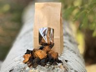 Chaga Sprängticka