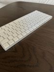 Apple Magic Keyboard (SWE), Som ny