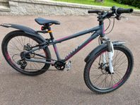 Mountainbike 24"