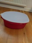 Tupperware grisen 