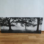 IKEA PJÄTTERYD Canvas - Stämningsfull Natur