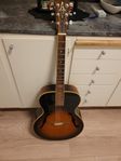 Akustisk Gitarr Alvarez 5055