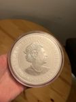 1 kg silver (9999) - Koala 2021