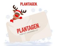 plantagen presentkort med värde 199kr 