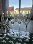 Orrefors champagneglas 4st