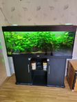 Akvarium Juvel 240 Liter