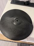 cymbal cy8