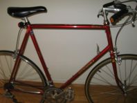 Retro Nishiki Road Master Racer 