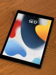 iPad Pro 12.9 (2015) Gen 1