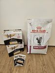 Kattmat njurproblem Royal Canin & Purina Pro Plan