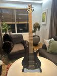 Schecter Diamond Series Studio-5