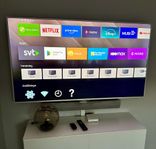 Sony Bravia TV 65”