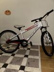 CYKEL junior Spokes Racing 24 24"