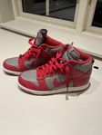 Nike Dunk storlek 40,5