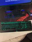 Razer blackwidow X Chroma