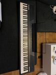 alesis recital piano