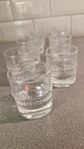 Snapsglas Niva Iittala 