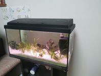 Akuarium 60 ltr