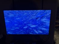 Samsung 55” tum