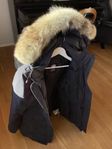 Canada Goose dam jacka. Storlek L